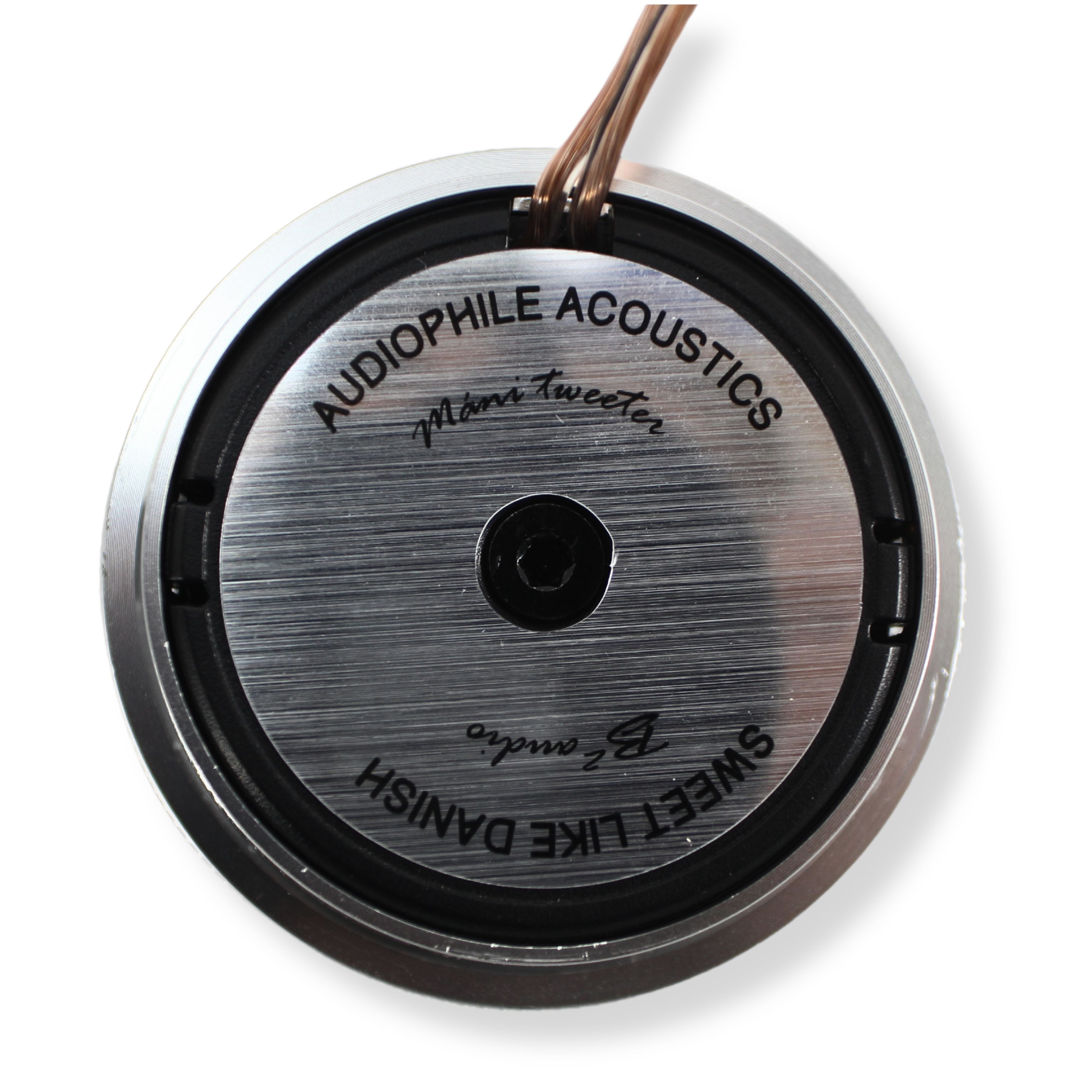 B2 Audio REFERENCE Pair of 1