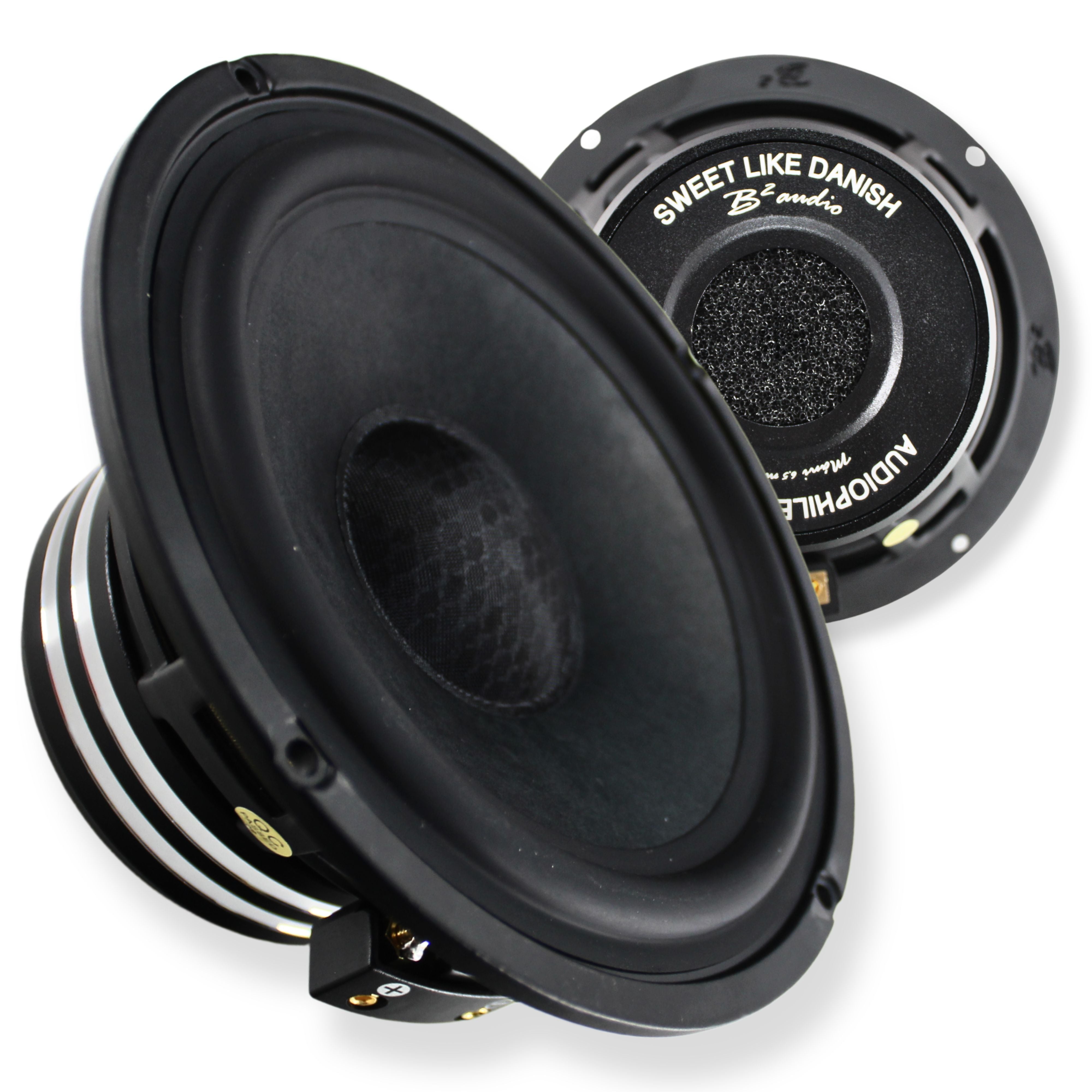B2 Audio Reference Series 6.5