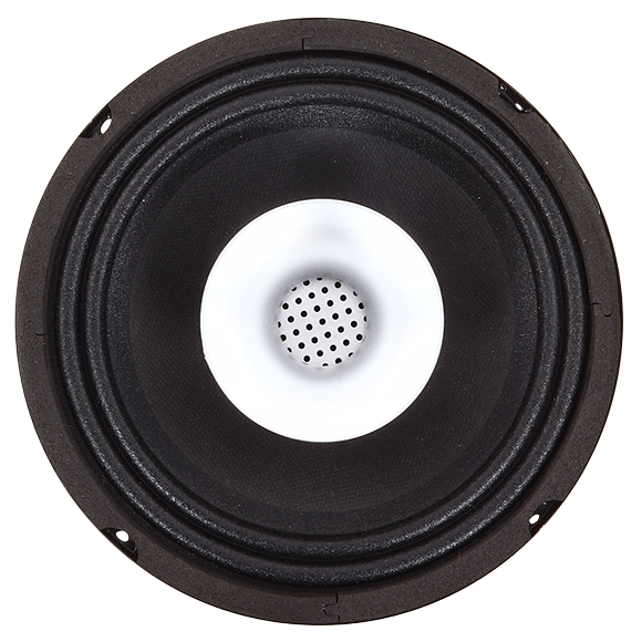 ECX-6.5 6.5" + Horn Pro Audio Coaxial  (1 Pair)