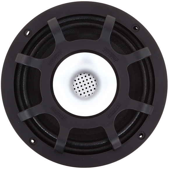 ECX-6.5 6.5" + Horn Pro Audio Coaxial  (1 single speaker)